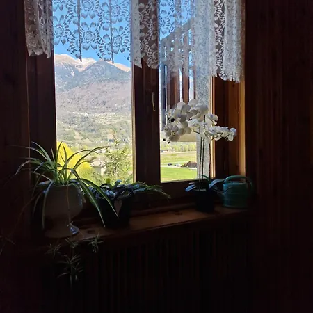 Casa Lena * Colorina